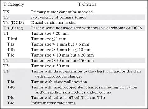 American Joint Committee On Cancers Staging System For Breast Cancer ...