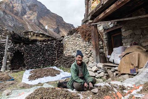 Disvover The Rural Life At Lunana Valley - Bhutan Inbound