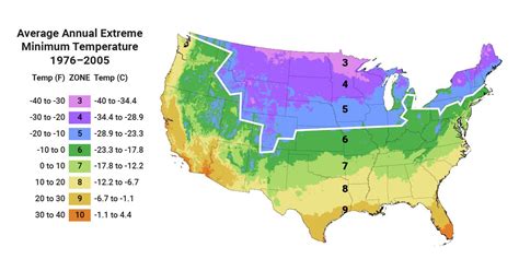 Grow In Your Zone - Southern Living Plants | Southern living plants, Plant hardiness zone ...