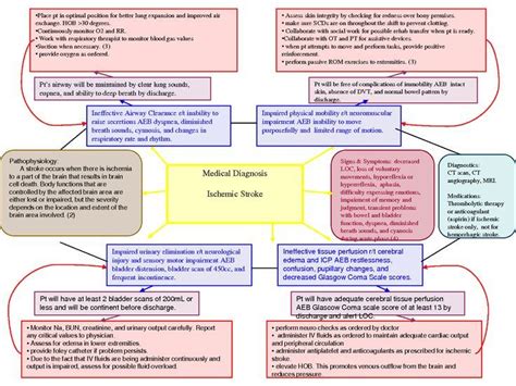 26 best nursing concept maps images on Pinterest | Nursing schools, Schools for nursing and ...