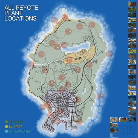 Where To Find All Of GTA V's Secret Peyote Plants | Kotaku Australia