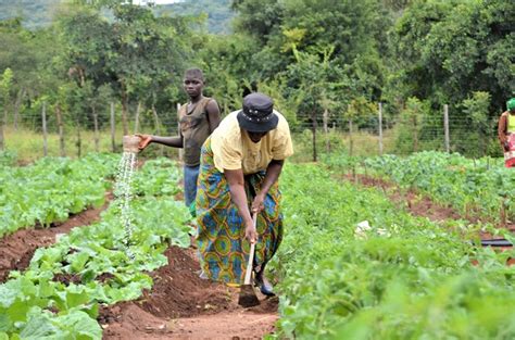 Farmers welcome organic agriculture policy