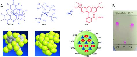 (A) Chemical structures and molecular models of counterions used in ...