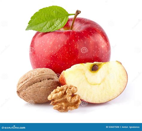 Apple with walnuts stock photo. Image of heap, snack - 53607508