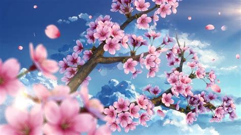 HD wallpaper: cherry blossom, scenic, petals, sky, sakura, Anime, plant ...