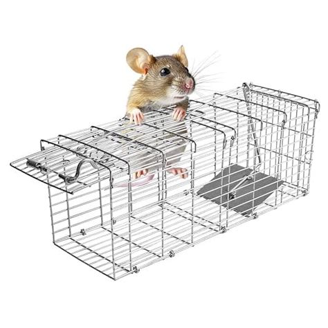 H&B Rat Trap,Mouse Traps,Humane Live Animal Trap Cage,14.4X4.8 X5.6inch,Work for Indoor and ...