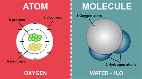 Basic Difference Between an Atom and a Molecule