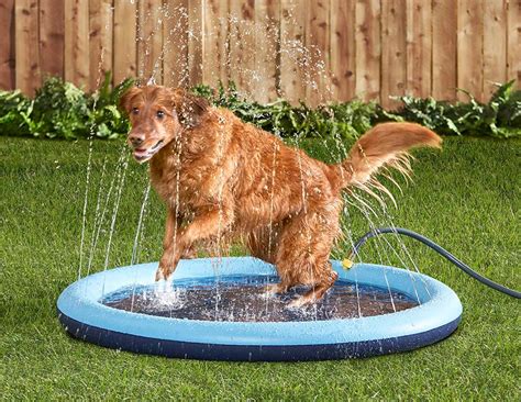 Dog Splash Pad Sprinkler Pool | The Green Head