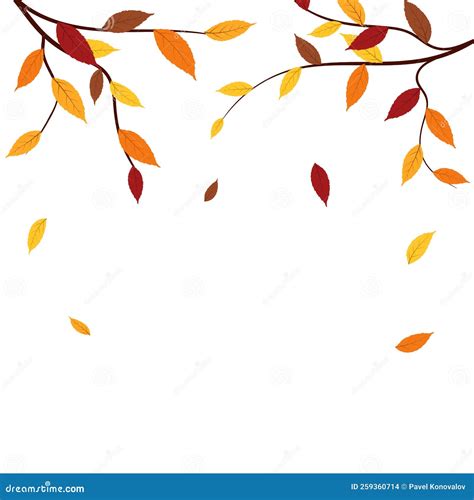 Ash-Tree Leaves Branch stock vector. Illustration of macro - 259360714