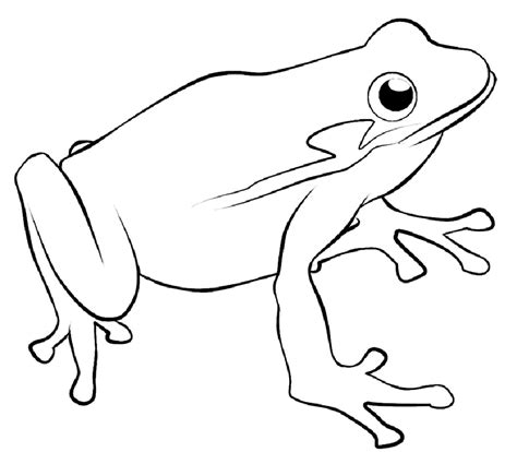 frog colouring pages printable - Clip Art Library