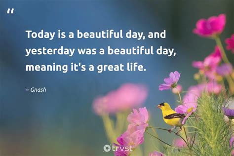 40 Beautiful Day Quotes To Uplift Your Spirits