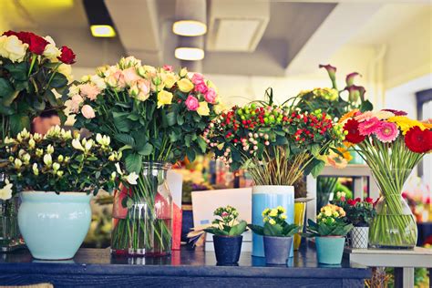 Free photo: Assorted Flower Arrangements - Colors, Leaves, Vase - Free Download - Jooinn