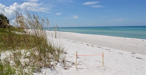 Longboat Key Beaches | Must Do Visitor Guides