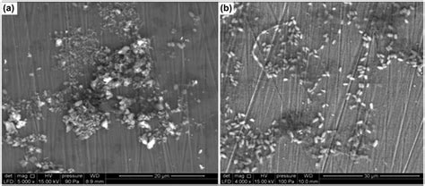 electro micrographs of Bacillus thuringiensis (a) and... | Download ...