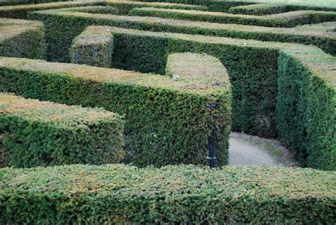 Leeds Castle Maze | aldisley | Flickr