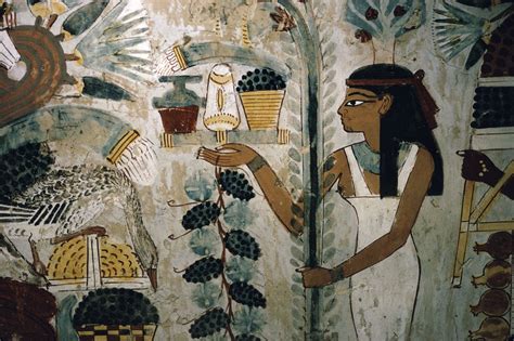 Ancient Egyptian Cuisine and Food Habits