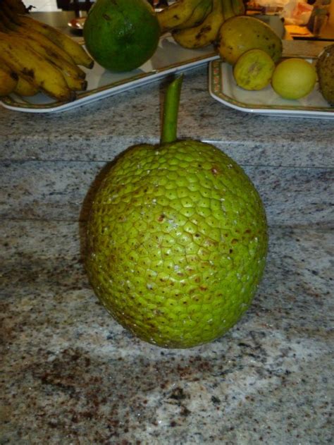 TOSTONES DE PANA - BREADFRUIT FRITTERS | Frutas y verduras imagenes, Comida caribeña, Comida latina