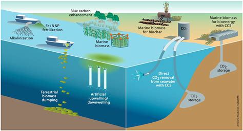 Frontiers | Navigating Potential Hype and Opportunity in Governing Marine Carbon Removal