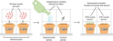 Controlled Experiments | The Study of Life