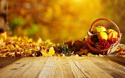 Autumn, pumpkin, basket, berries, leaves, wood board Wallpaper ...