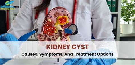 Kidney Cyst: Causes, Symptoms, And Treatment Options- Bansal Hospital