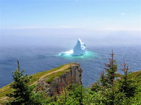 Iceberg Alley Newfoundland: Where and When to Go to See Icebergs