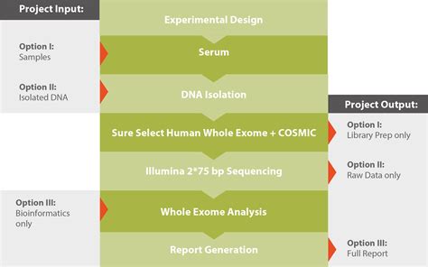 Whole Exome Sequencing - Microsynth - DE