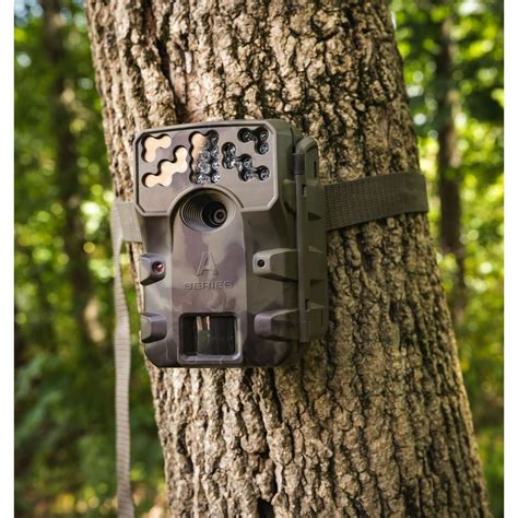 Moultrie W800 Infrared Hunting Trail Camera, 26 Megapixels - Walmart ...