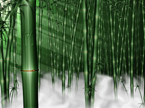 Bamboo Wallpaper: Bamboo Wallpapers 1-10 1600 x 1200