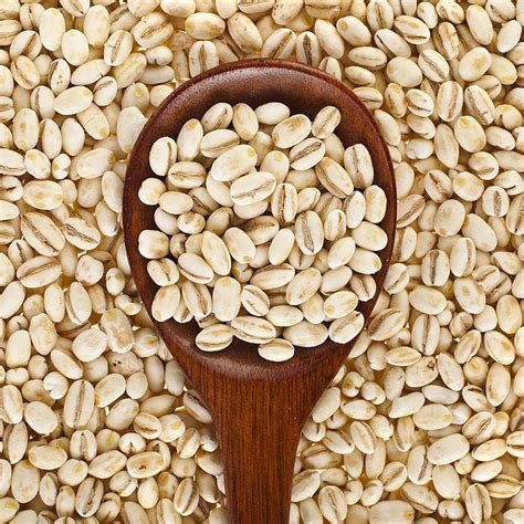 Ouf! 49+ Faits sur Barley Bread Benefits: Health benefits of barley ...