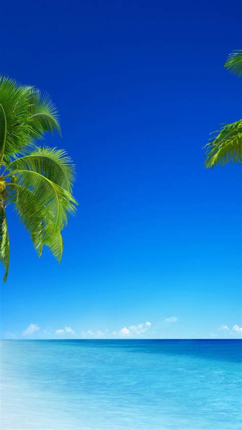 Blue Palms Wallpapers - Wallpaper Cave