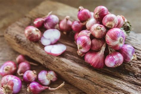 3 Cara Menanam Bawang Merah (Lengkap dengan tahapannya)