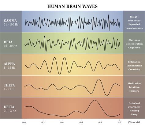 Brain Waves – DonDam