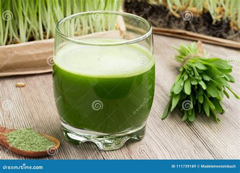 A Glass of Barley Grass Juice with Young Barley Grass and Powder Stock ...