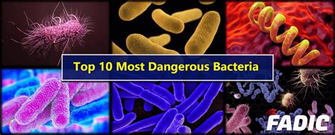 Top 10 Dangerous Bacteria on Earth and Antimicrobial Stewardship