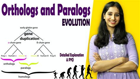 Orthologs and paralogs II Evolution I Detailed Explanation and CSIR NET ...