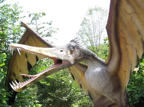 12 Common Myths About Dinosaurs You Need to Forget | Journalistate