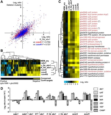 Figure 4 from The Abi-domain Protein Abx1 Interacts with the CovS Histidine Kinase to Control ...