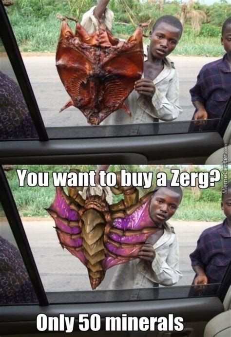 Starcraft | Starcraft, Funny pictures, Funny picture jokes