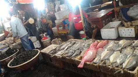 Pasar Ikan Muara Angke – newstempo