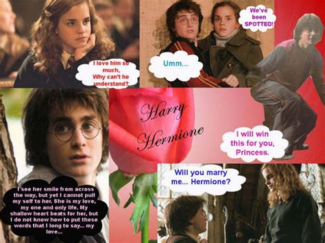 cute harry and hermione pics - Harry and Hermione Fan Art (5117878 ...