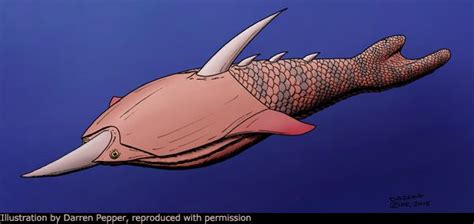 Pteraspis - Alchetron, The Free Social Encyclopedia