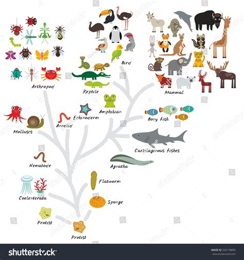 18 Insects Fish Celled Mammals Images, Stock Photos & Vectors | Shutterstock