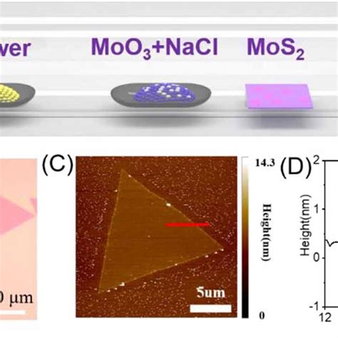 (A) Schematic diagram of synthesis of 2D MoS2 crystal by CVD. (B) An ...