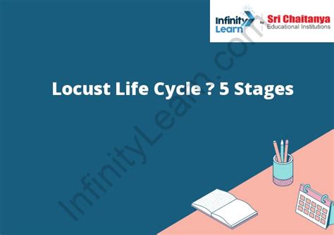 Locust Life Cycle – 5 Stages - Infinity Learn by Sri Chaitanya