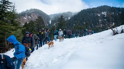 A detailed guide on Manali treking - Ramneek Sidhu