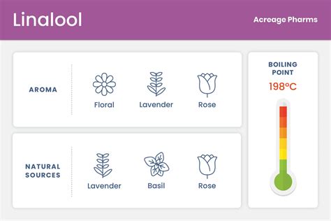 What is Linalool? What Does this Cannabis Terpene Do | Acreage Pharms