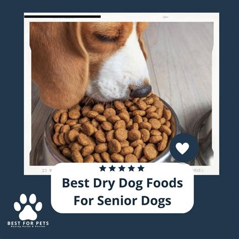 Best Dry Dog Foods For Senior Dogs - Best For Pets