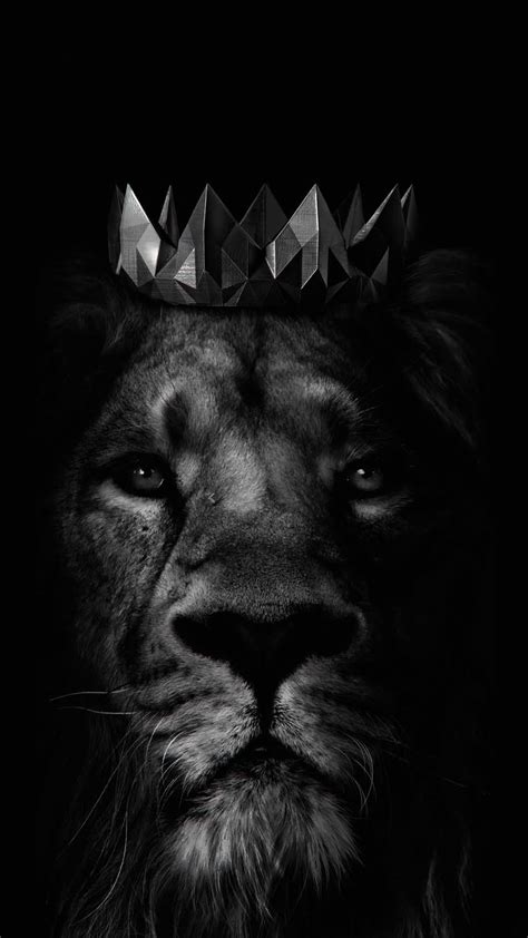 Lion With Crown Wallpaper