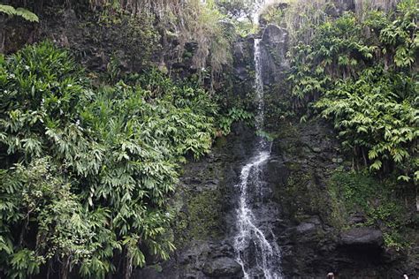 Royalty Free Waipio Valley Pictures, Images and Stock Photos - iStock